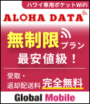 アロハデータ、大容量1日700MBが880円/日！