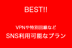BEST!!　VPNや特別回線など、SNS利用可能プラン